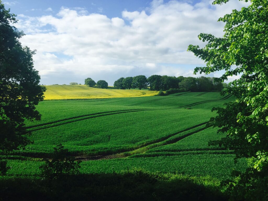 Reiki healing Wotton‑under‑Edge